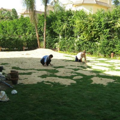 تنظيف حدائق