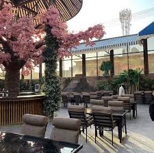 أشجار ونباتات الرياض