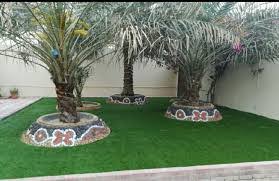 أشجار ونباتات الرياض